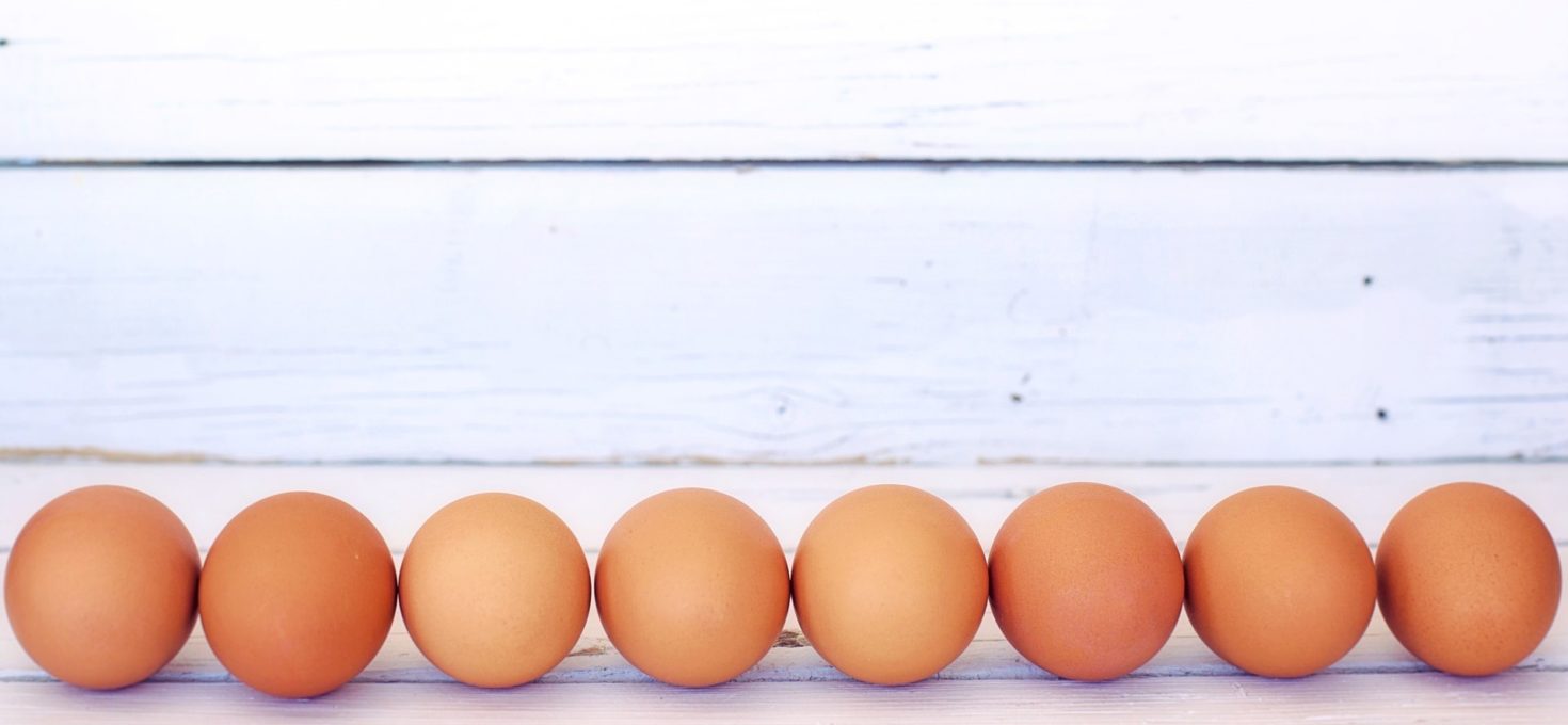 Ei, Ei, Ei – gesunde Proteinquelle oder Cholesterinbombe?