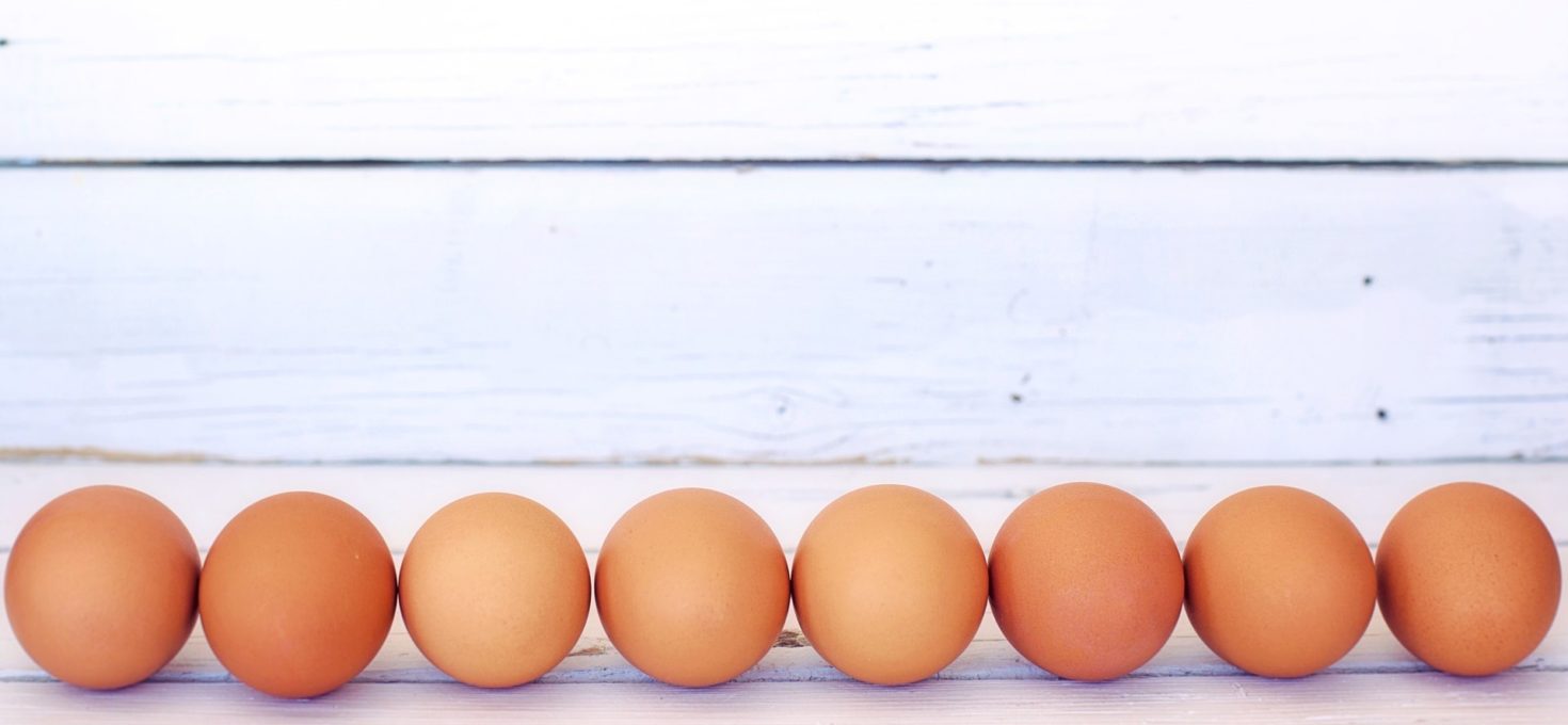 Ei, Ei, Ei – gesunde Proteinquelle oder Cholesterinbombe?